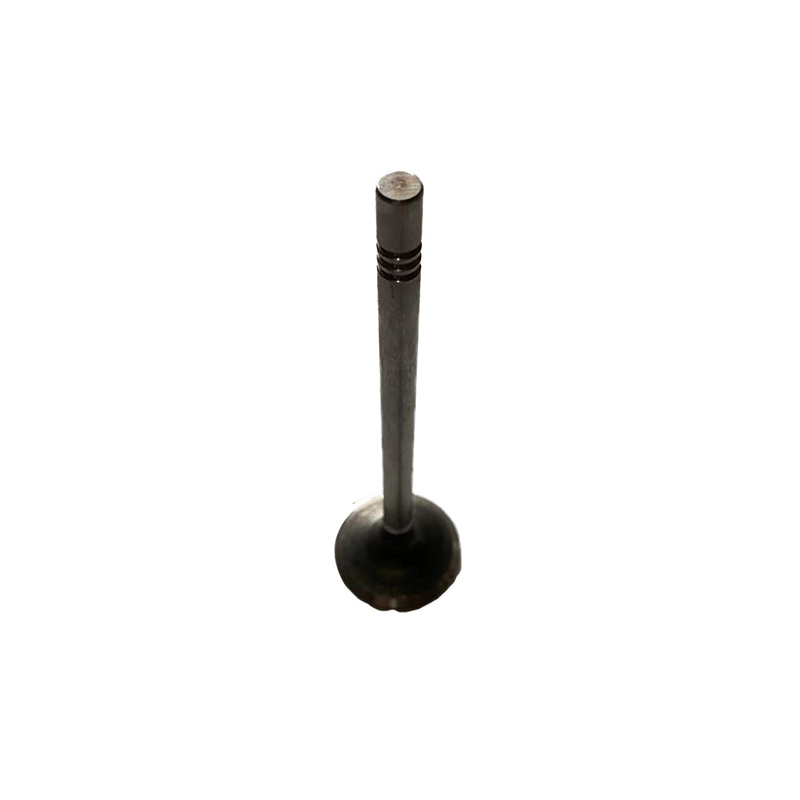 Intake Valve C00111120 Maxus D90 G10 G20 T60