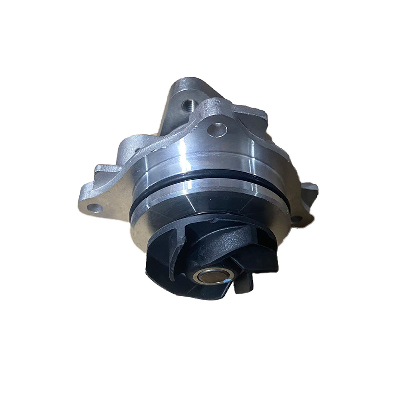 Water Pump 10245065 RW RX3 3X ZS