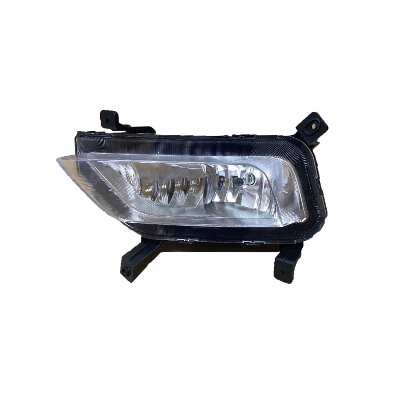 10258351 Front Anti-Fog Lamp RW.RX5 16 Models Left Front